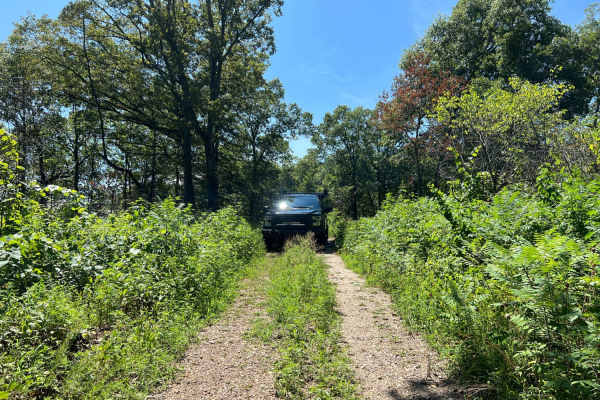 Scroggins Ridge to Rock Creek