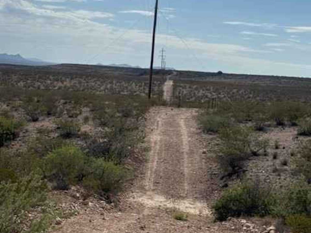 BLM SS1038 photo 3