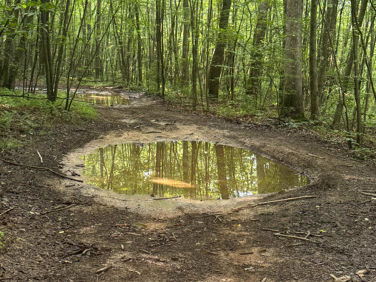 Trail 56 photo 6
