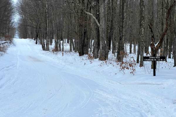 Shirks Road