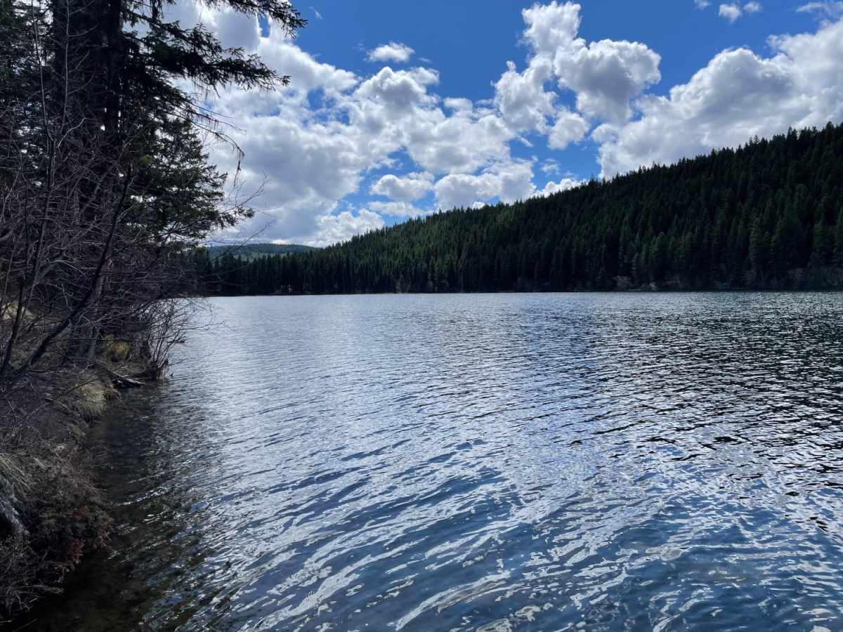 Ingram Creek FSR photo 3
