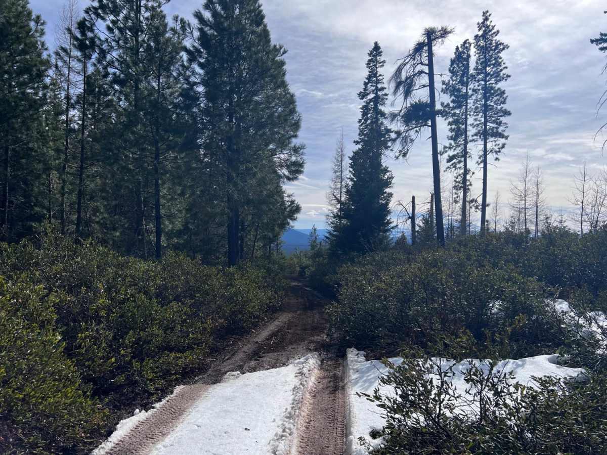 Abbot Butte Loop photo 5