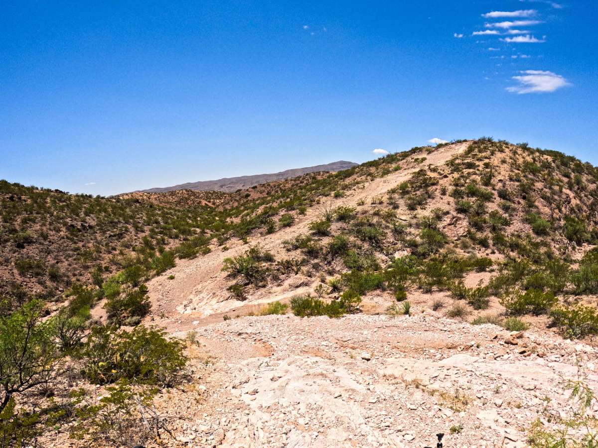 Crawlers Climb photo 5