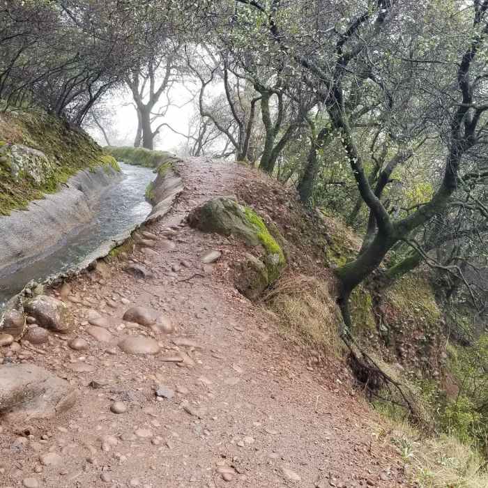 Near Cardiac Bypass Trail