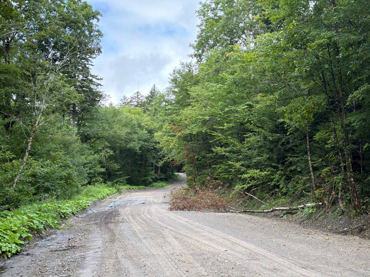 Brier Knob Road photo 3