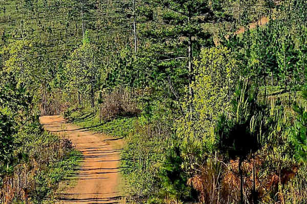 Alexander Ridge Trail