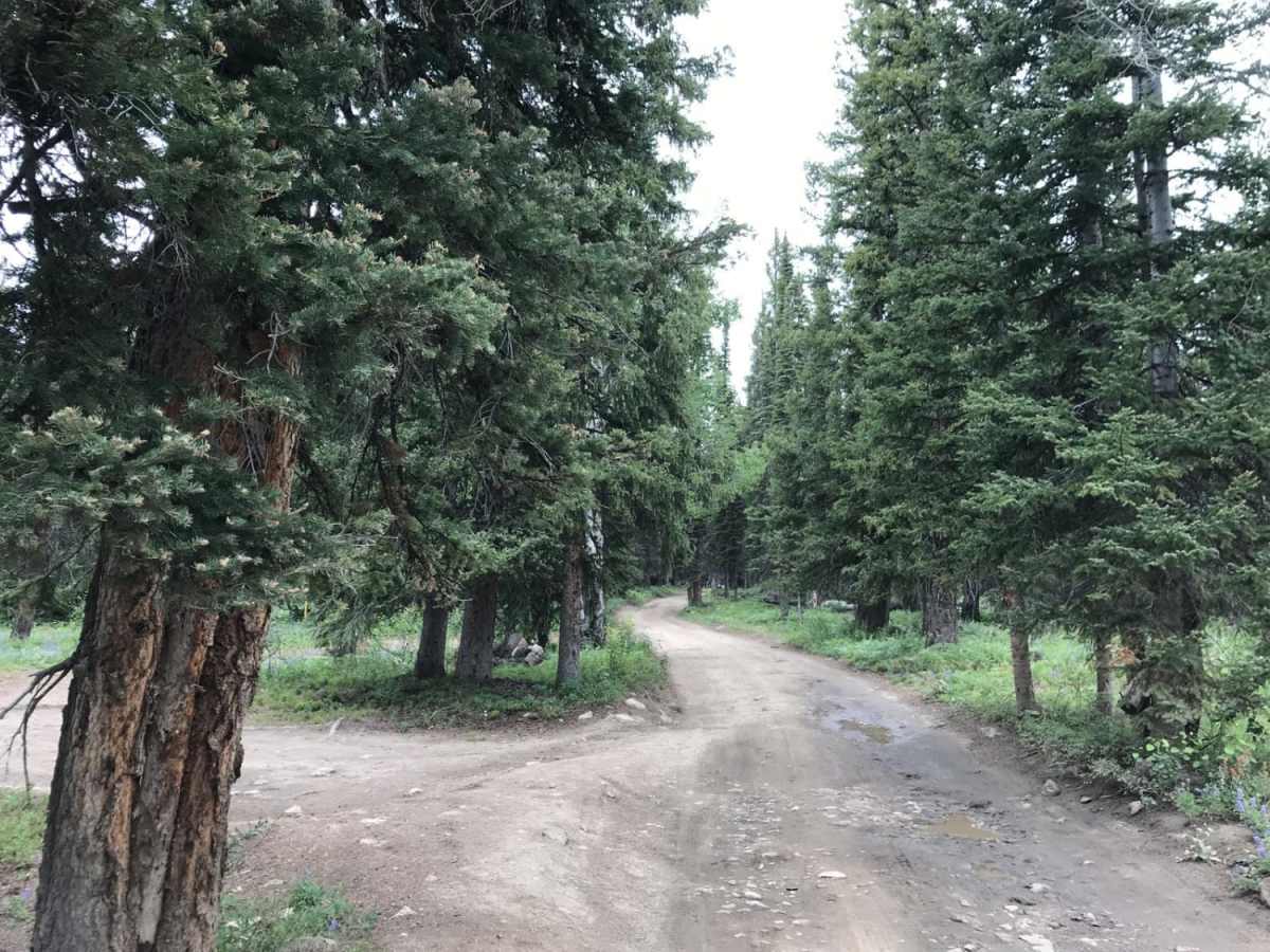 Base Camp (311) trail photo
