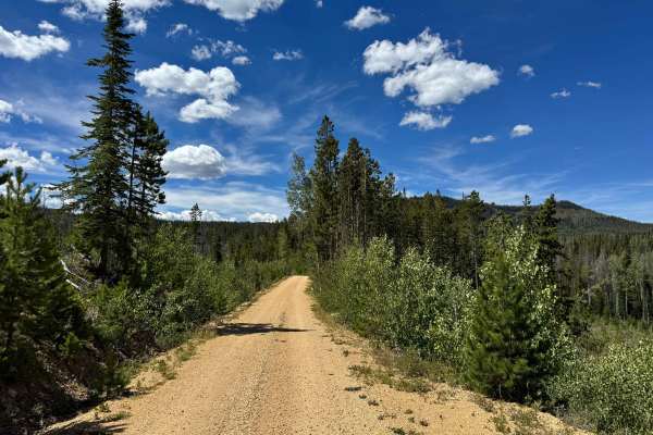 South Fork Arapaho Creek Road