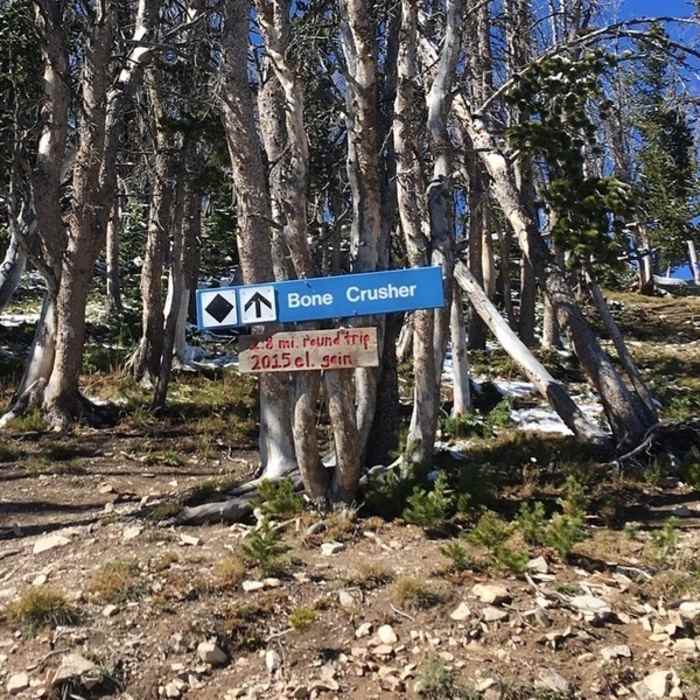 Near Summit Climb (Bone Crusher)