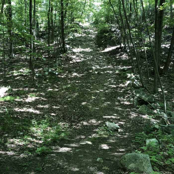 Near Blue Trail