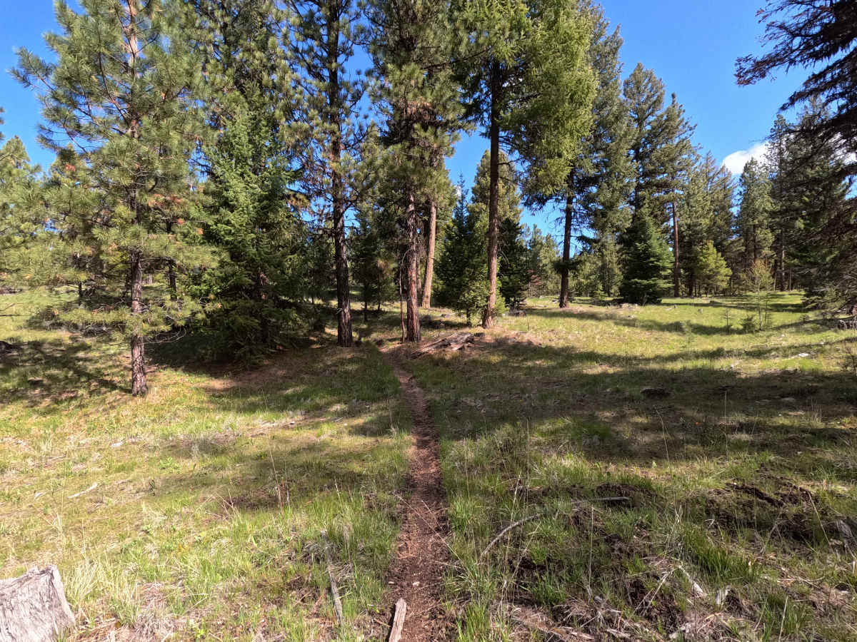 Trail 56 photo 3