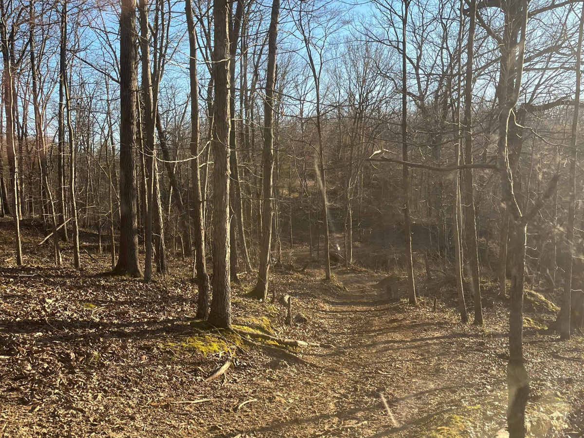 Overlook Trail photo 3