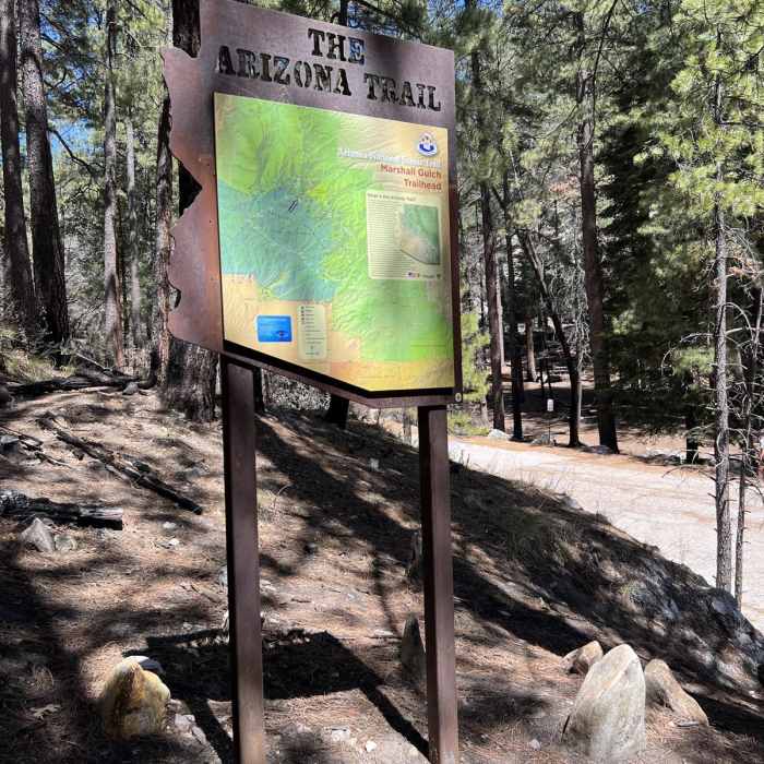 Near Arizona Trail Passage 12: Oracle Ridge