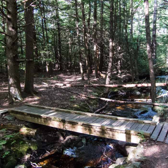 Bridge on Cascade Trail over Catamount Brook Near Catamount Hill Loop