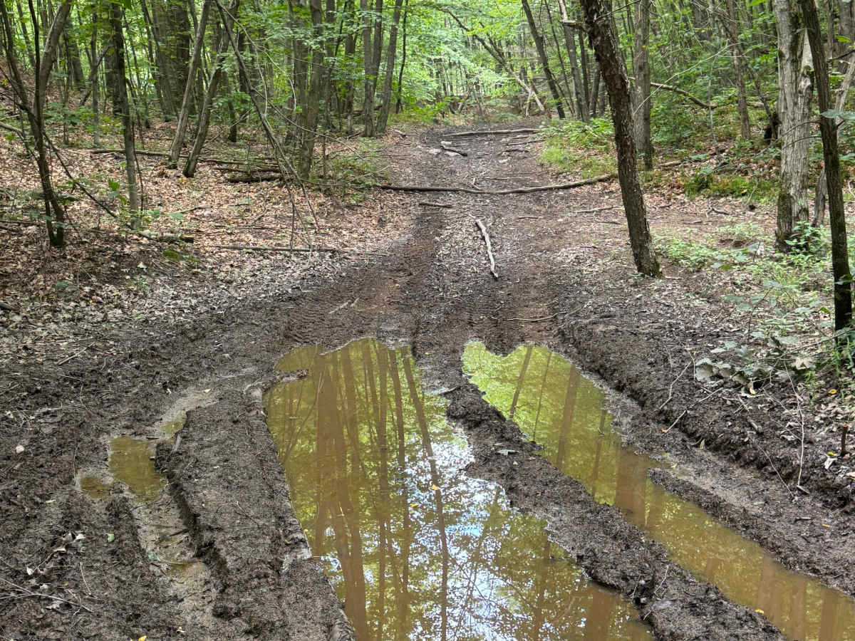 Trail 42 photo 3
