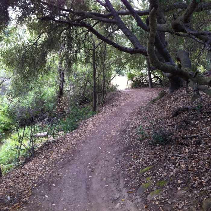 Coyote Run in Aliso Woods. Wood Creek is on the left. Near Aliso Wood Canyon 20-Mile Loop