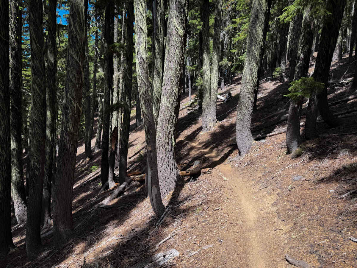 Windy Pass trail photo
