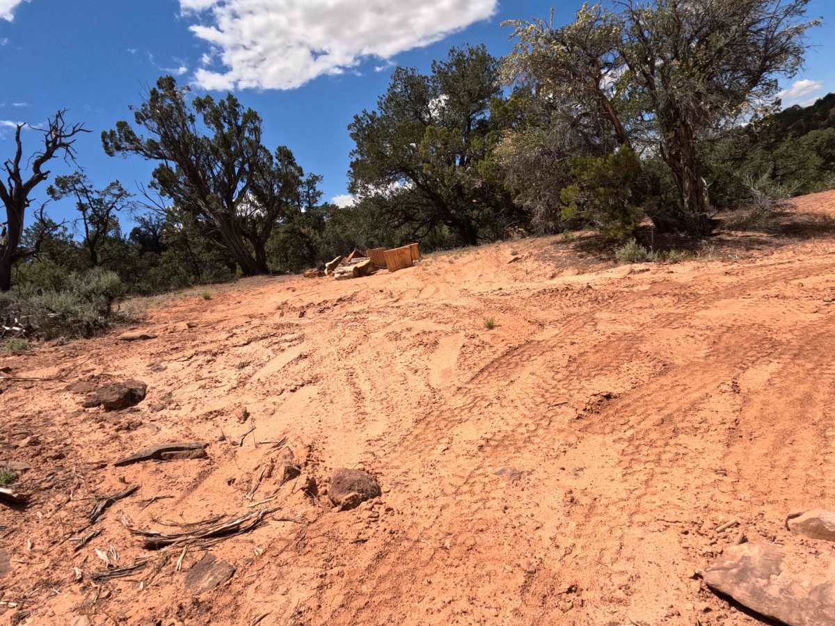 BLM 101J photo 4