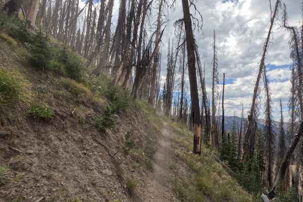 Osberg Ridgeline Trail - FS 7147