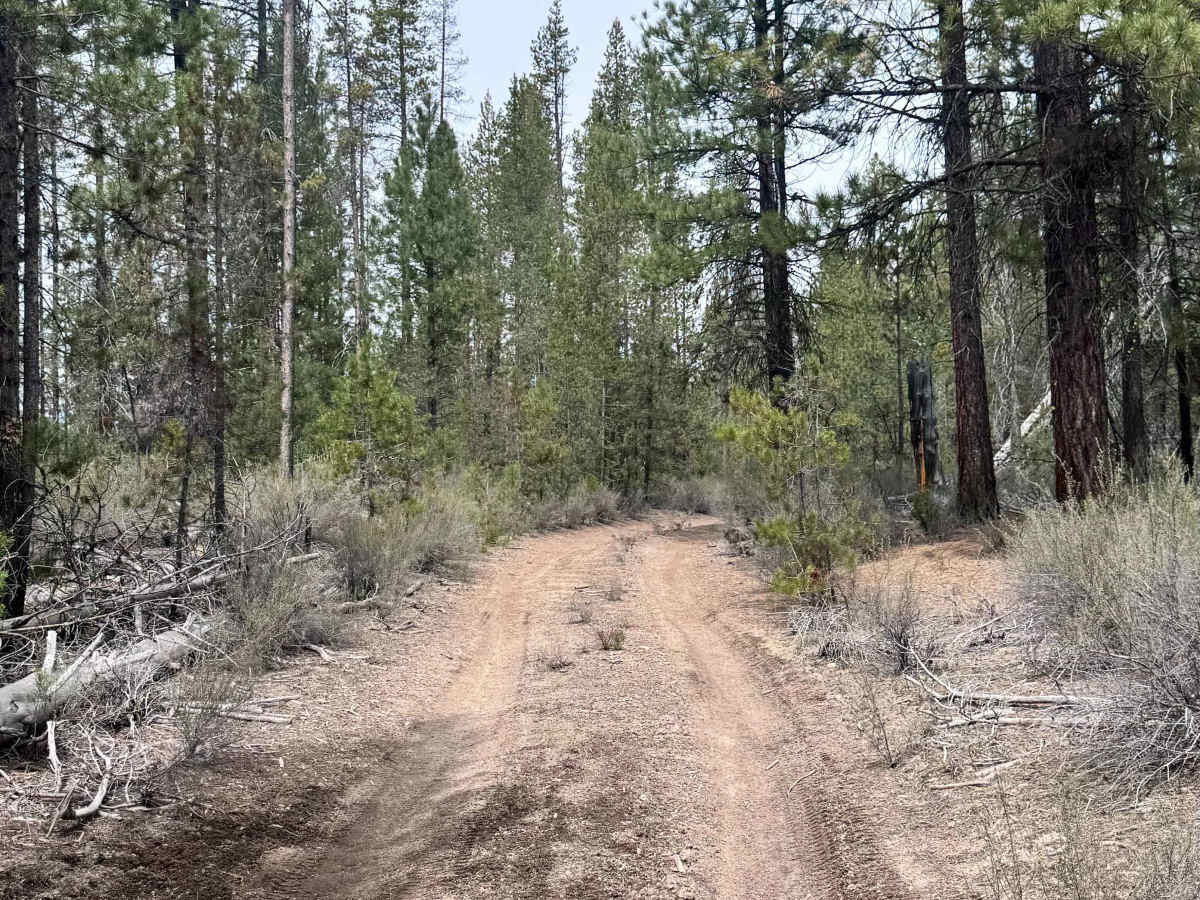 Wocus Bay Road photo 4