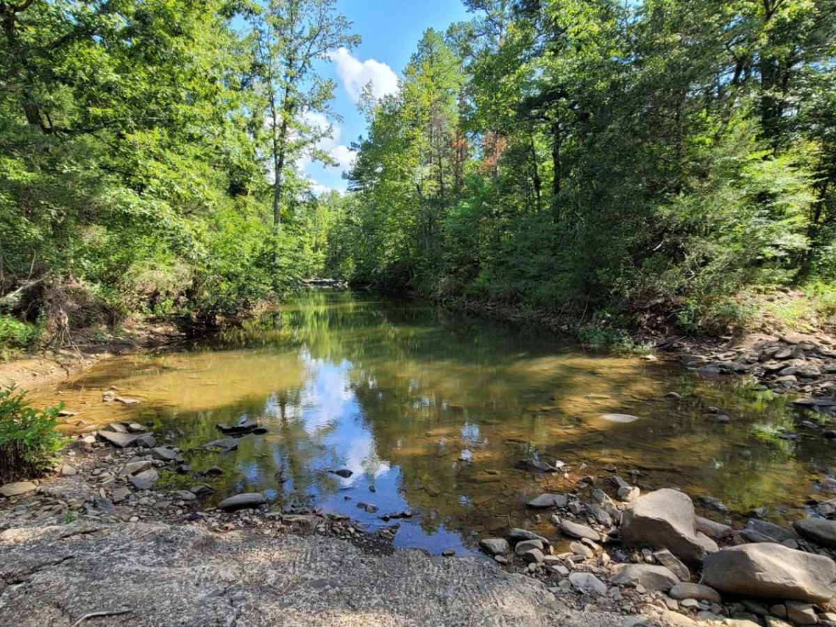 Muddy Creek WMA trail photo