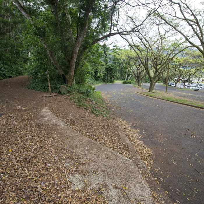 Near Likeke Falls Near Likeke Falls