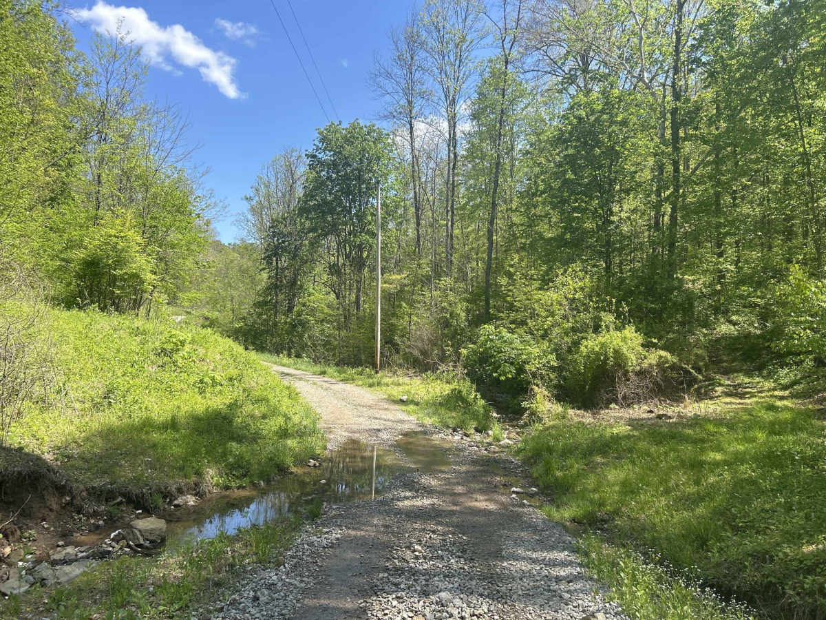 Hopewell Ridge trail photo