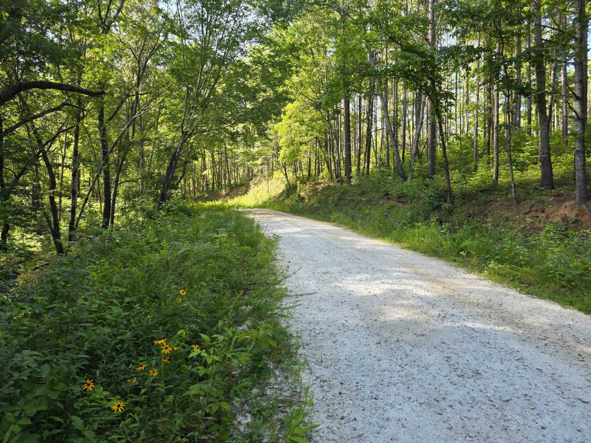 Sandy Ford - FS 721A trail photo