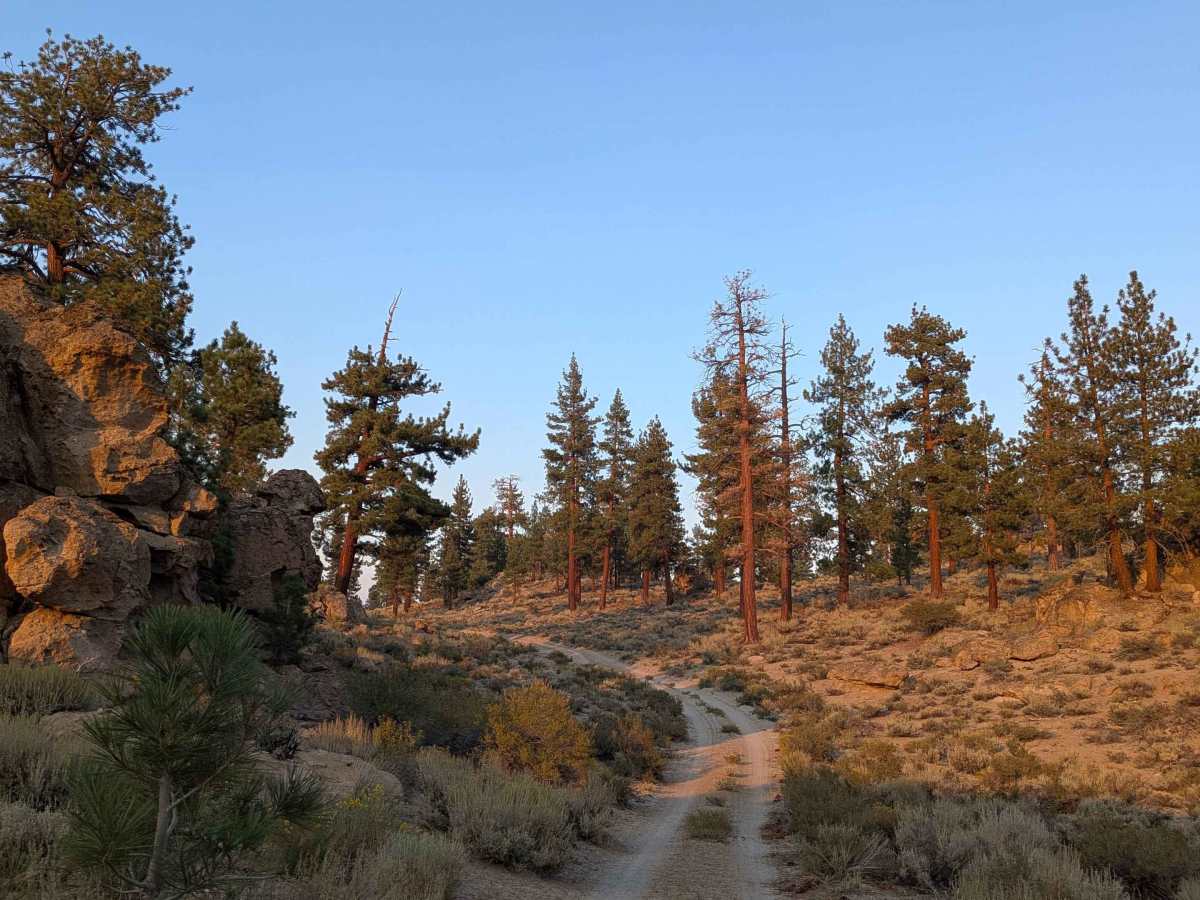 Bishop Tuff Scenic Loop - FS 4S38 photo 3