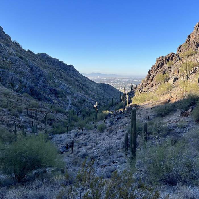 Near Piestewa Peak via Dreamy Draw