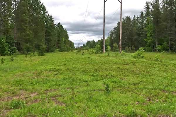 Peshekee to Clowry Trail