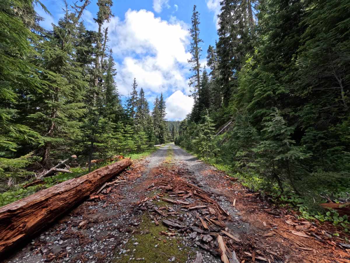 Barlow Butte Road - FS 3560 photo 6