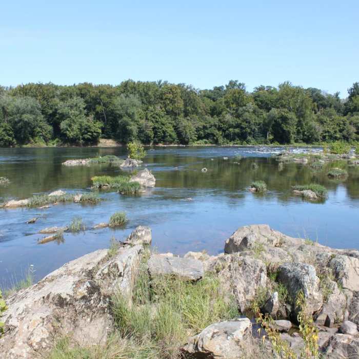 Near Scott's Run Nature Preserve