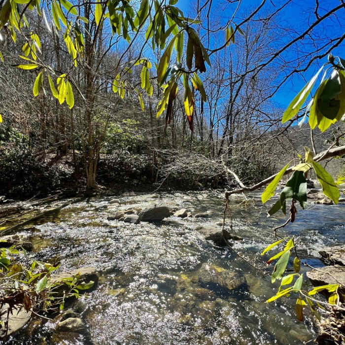 River crossing at the start Near Green Mountain Trail
