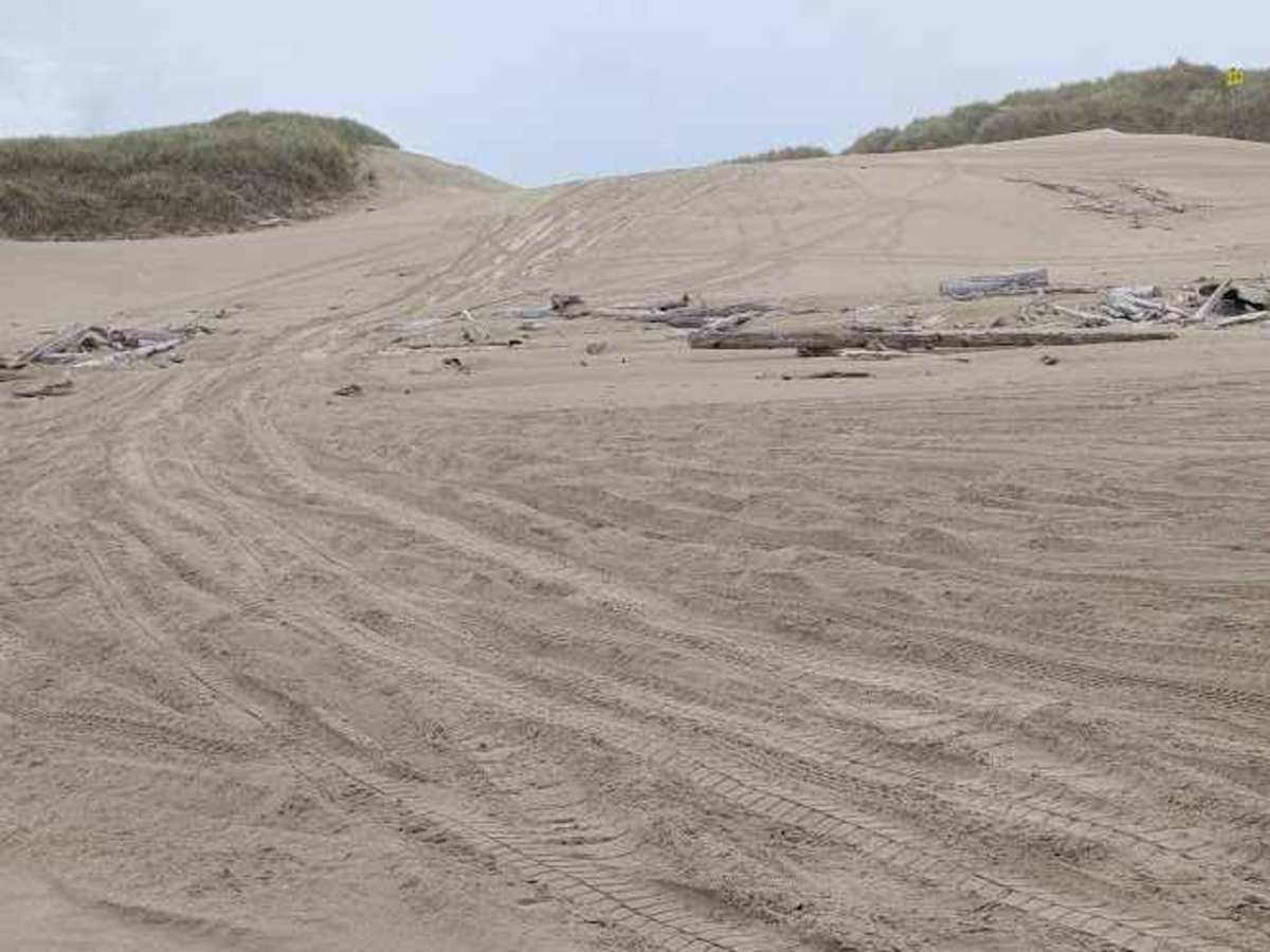 South Jetty Open Beach photo 2