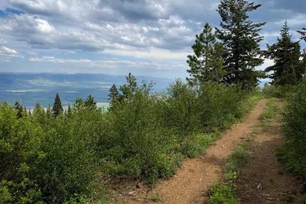 Upside - Trail 490 
