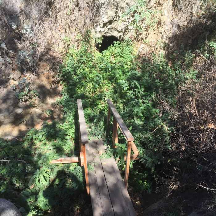 Near Two Trees Trail