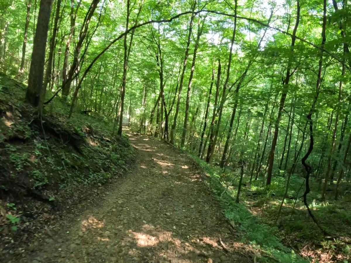 Q3 trail photo