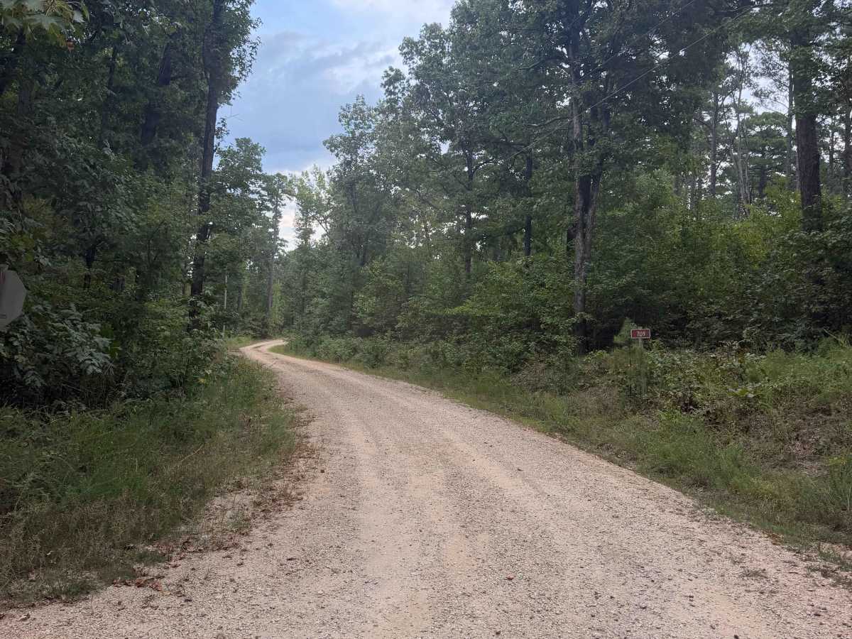 Maumelle trail photo
