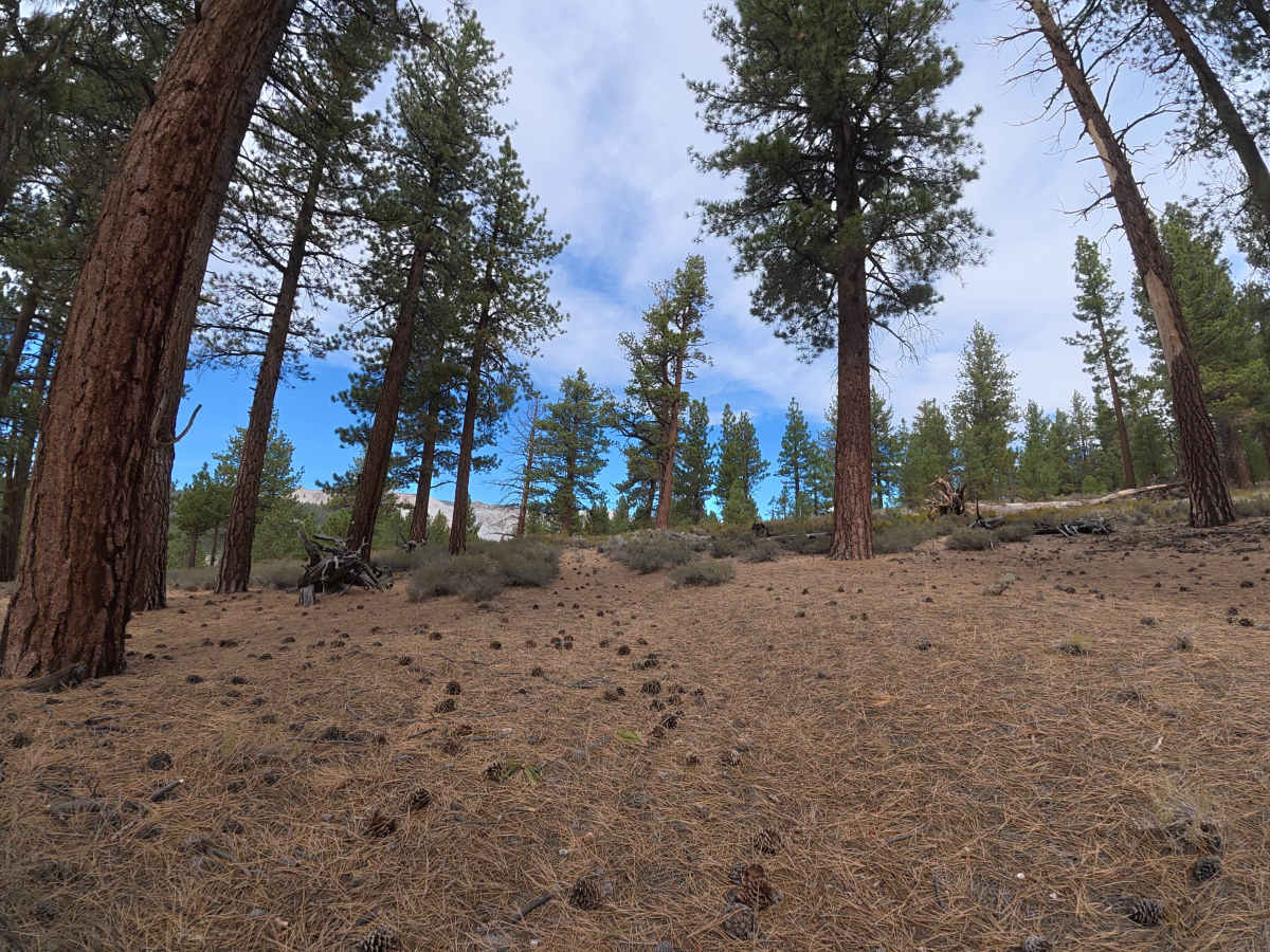 FS 1S89 photo 3