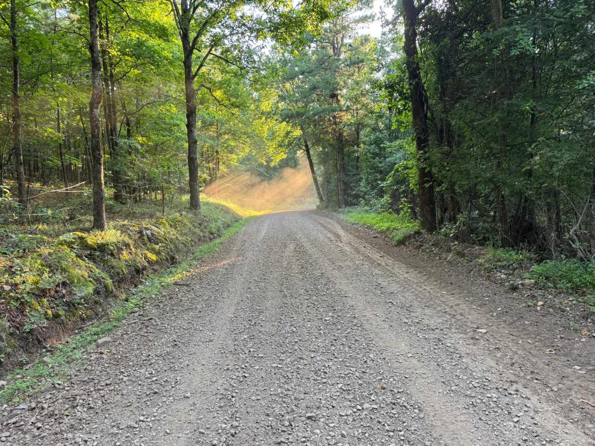 County Road 4320 photo 2