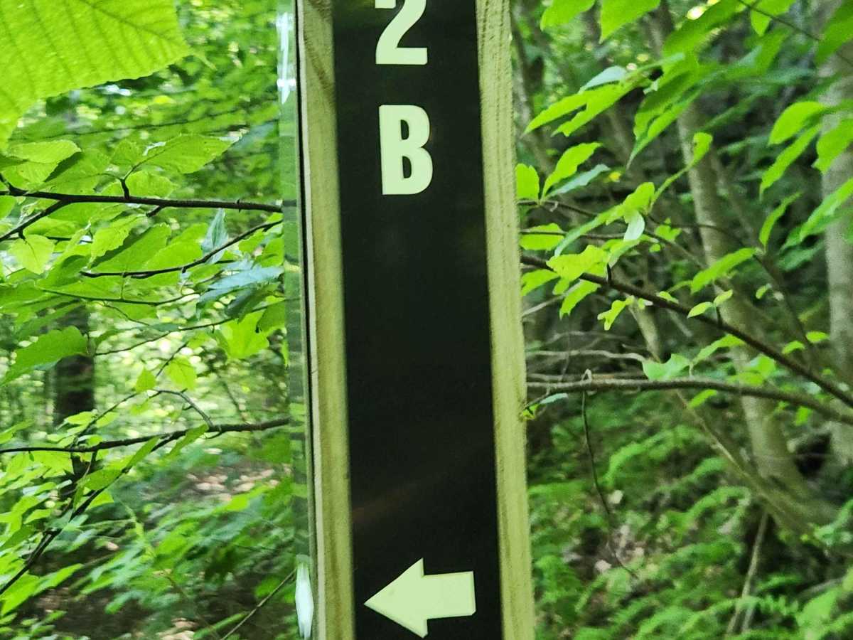 Trail 2B - Rock Run Recreation Area trail photo