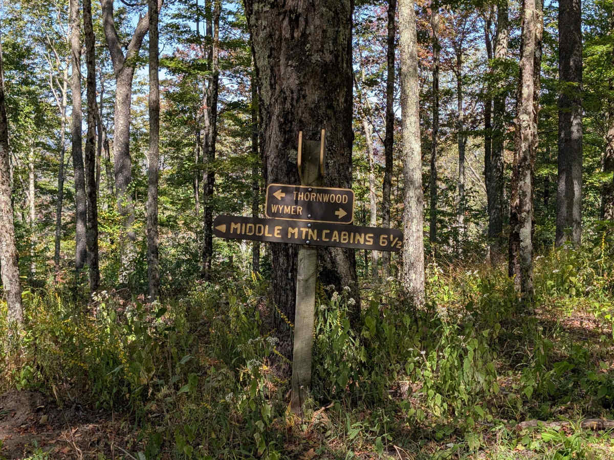 Laurel Fork Overlook photo 3