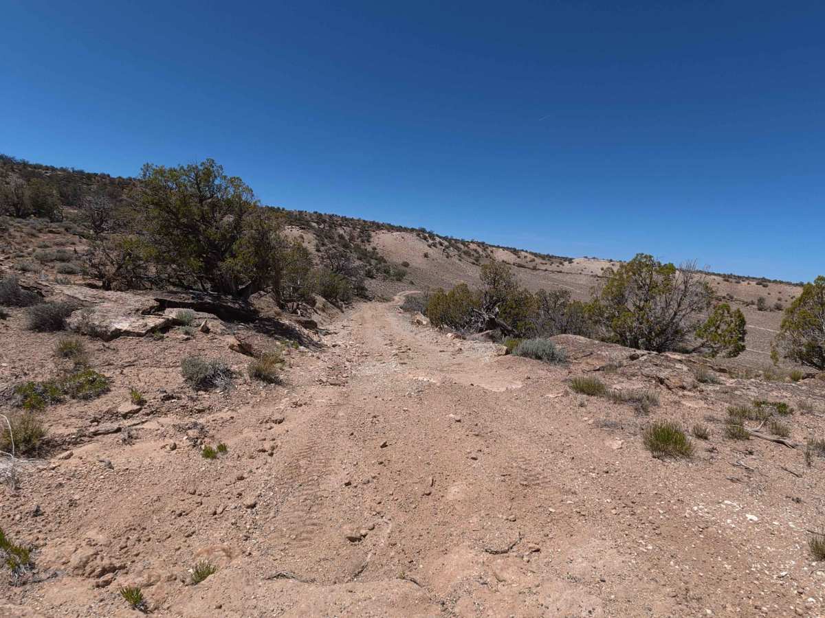 Denca Road trail photo