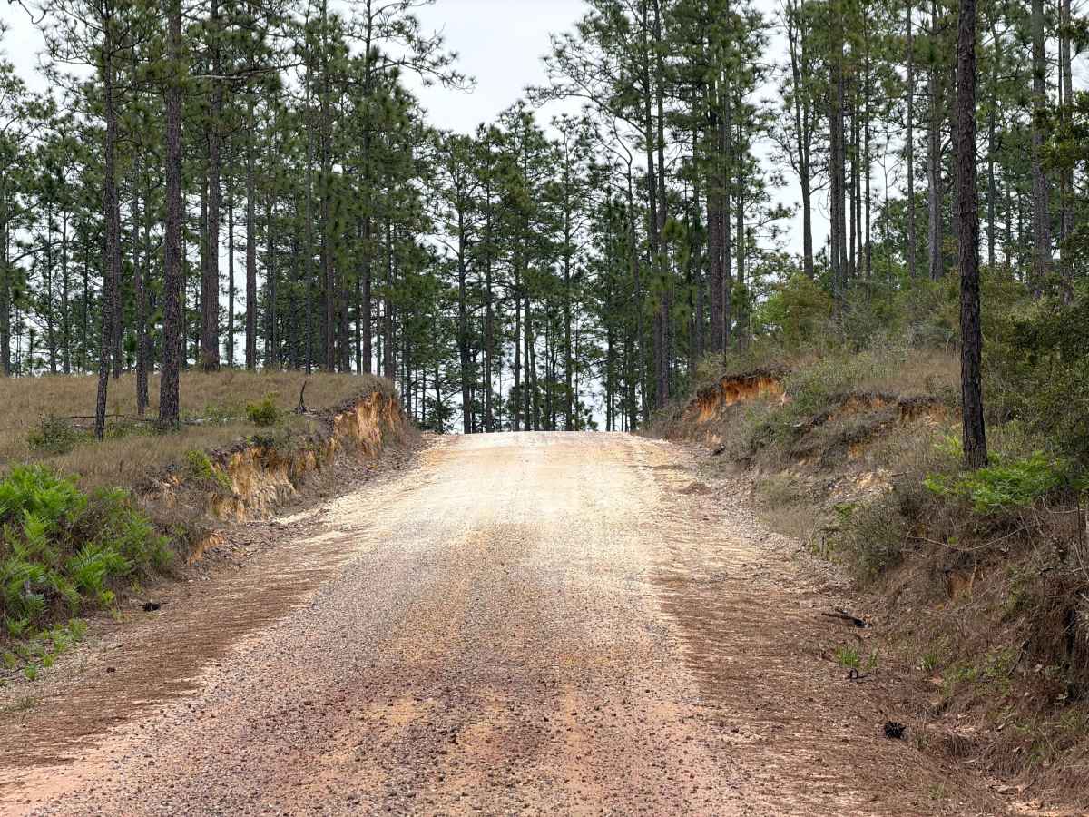 Charlie Foster Road photo 6