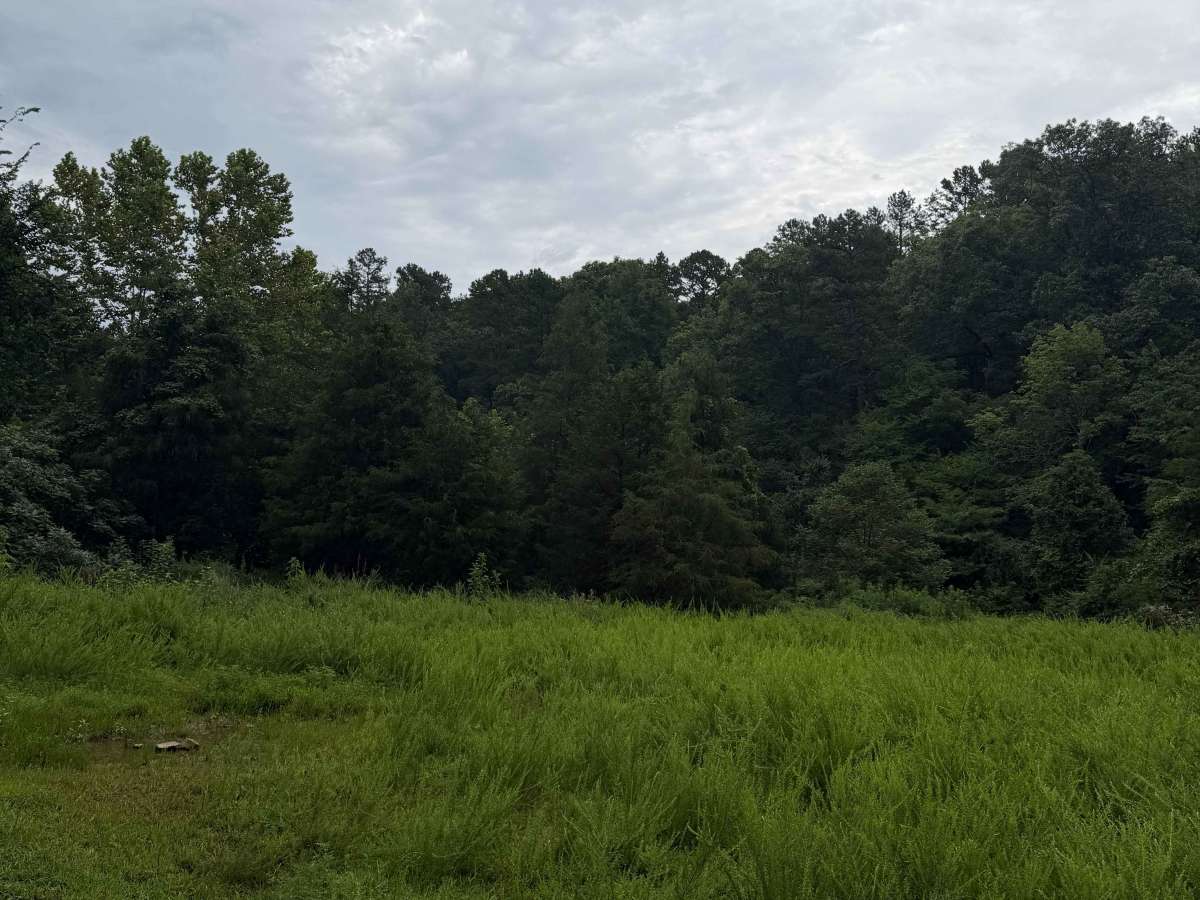 Creek Bed Drive - FS 93023 photo 4