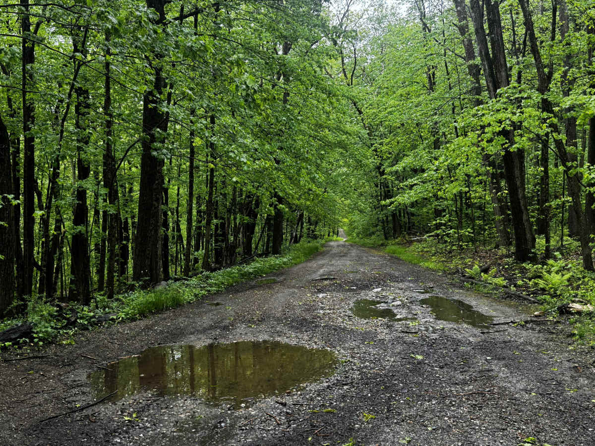Beartown Mountain Road photo 5