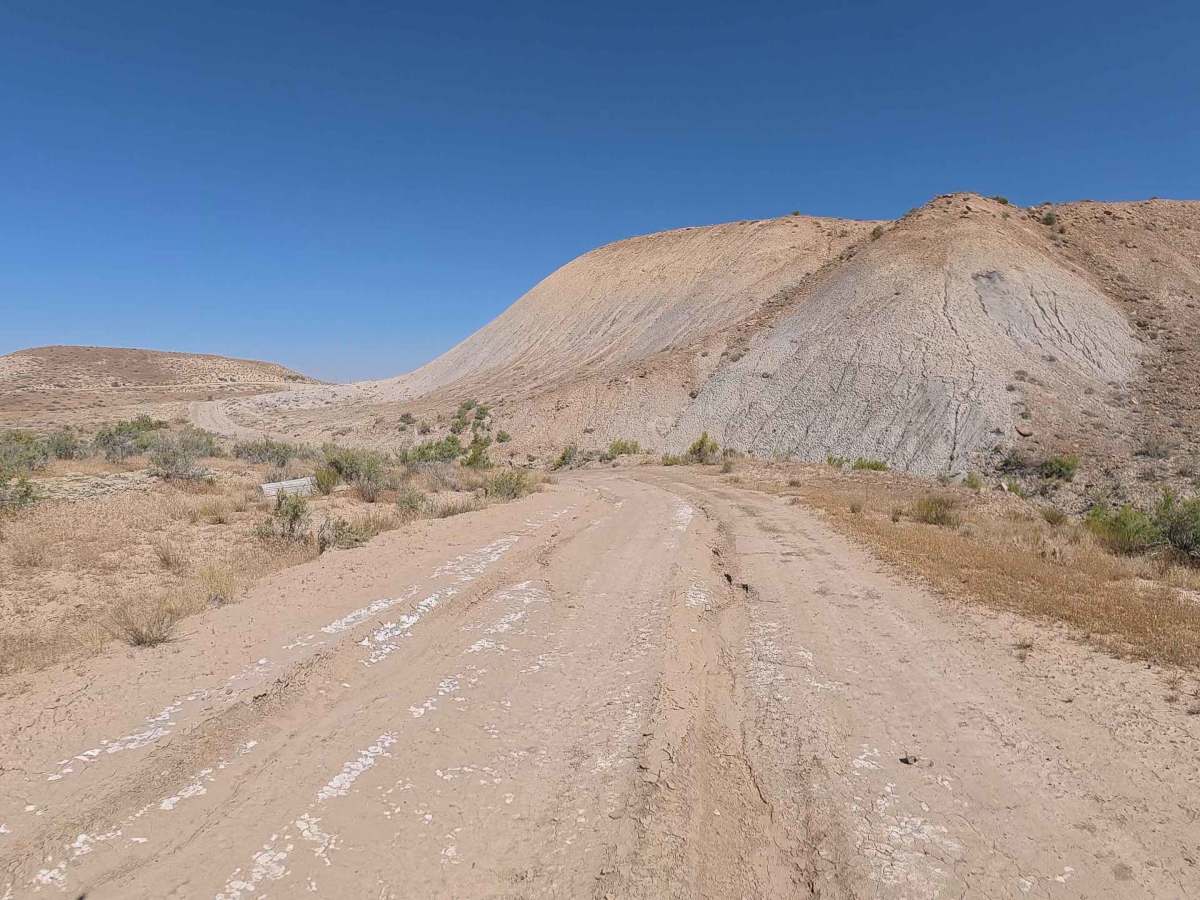 BLM 194 photo 2