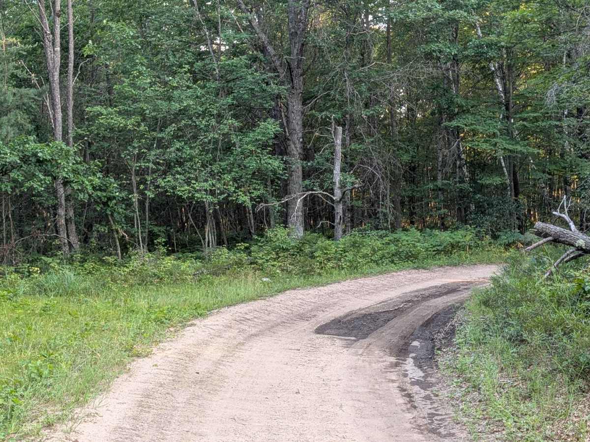 Stelmach Trail photo 6