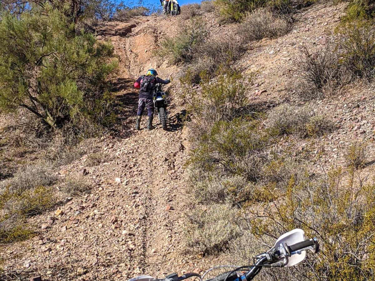 Ox Wash Singletrack photo 2
